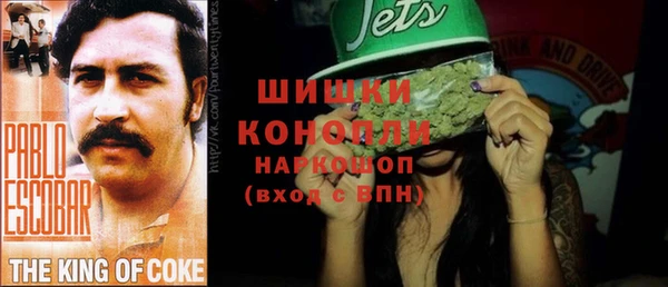 прущие грибы Абаза
