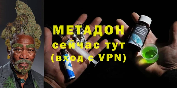 прущие грибы Абаза