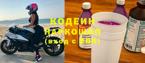 прущие грибы Абаза