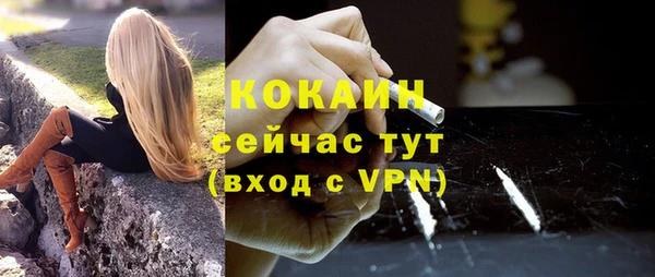 прущие грибы Абаза