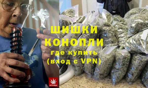 прущие грибы Абаза