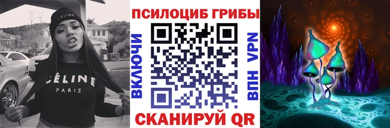 KRAKEN tor  Углегорск  Псилоцибиновые грибы ЛСД 
